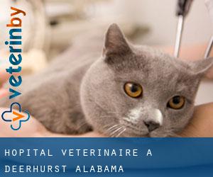 Hôpital vétérinaire à Deerhurst (Alabama)
