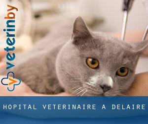 Hôpital vétérinaire à Delaire