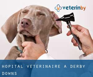 Hôpital vétérinaire à Derby Downs