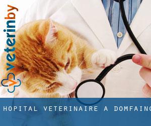 Hôpital vétérinaire à Domfaing