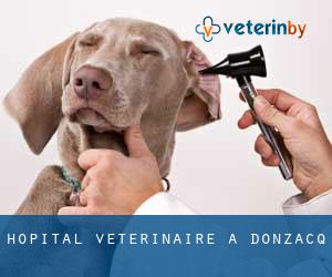 Hôpital vétérinaire à Donzacq