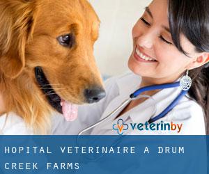 Hôpital vétérinaire à Drum Creek Farms