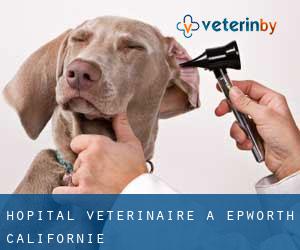 Hôpital vétérinaire à Epworth (Californie)