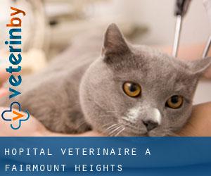 Hôpital vétérinaire à Fairmount Heights