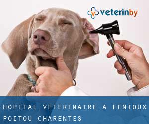 Hôpital vétérinaire à Fenioux (Poitou-Charentes)