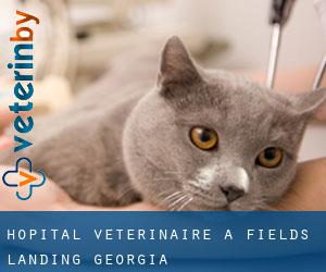 Hôpital vétérinaire à Fields Landing (Georgia)