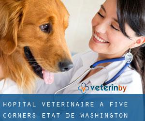 Hôpital vétérinaire à Five Corners (État de Washington)