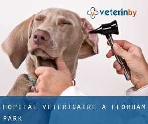 Hôpital vétérinaire à Florham Park