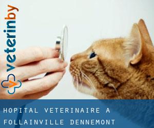 Hôpital vétérinaire à Follainville-Dennemont