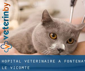 Hôpital vétérinaire à Fontenay-le-Vicomte