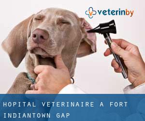 Hôpital vétérinaire à Fort Indiantown Gap