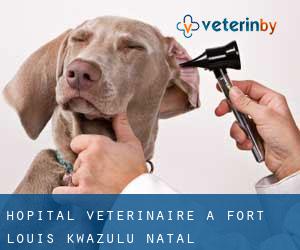 Hôpital vétérinaire à Fort Louis (KwaZulu-Natal)