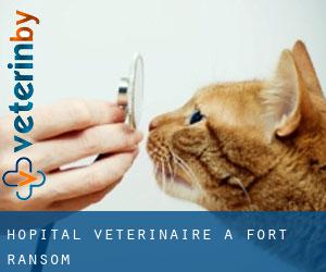 Hôpital vétérinaire à Fort Ransom