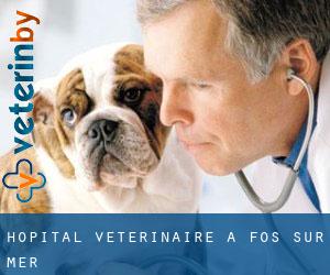 Hôpital vétérinaire à Fos-sur-Mer