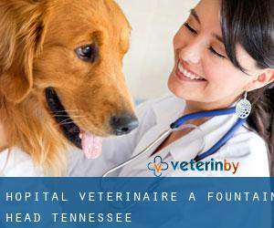 Hôpital vétérinaire à Fountain Head (Tennessee)