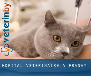 Hôpital vétérinaire à Franay