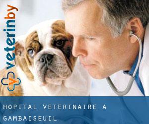 Hôpital vétérinaire à Gambaiseuil