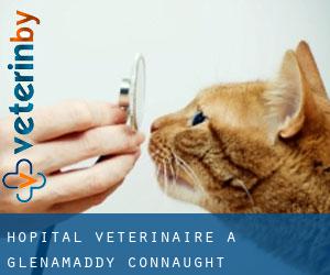 Hôpital vétérinaire à Glenamaddy (Connaught)
