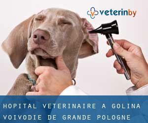 Hôpital vétérinaire à Golina (Voïvodie de Grande-Pologne)