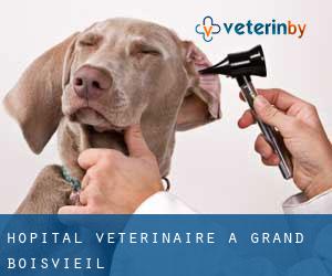 Hôpital vétérinaire à Grand Boisvieil