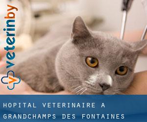 Hôpital vétérinaire à Grandchamps-des-Fontaines