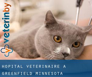 Hôpital vétérinaire à Greenfield (Minnesota)