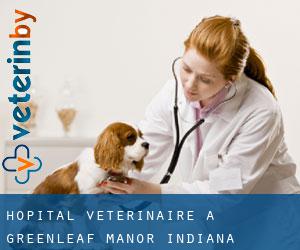 Hôpital vétérinaire à Greenleaf Manor (Indiana)