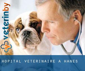 Hôpital vétérinaire à Hanes