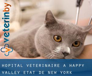 Hôpital vétérinaire à Happy Valley (État de New York)