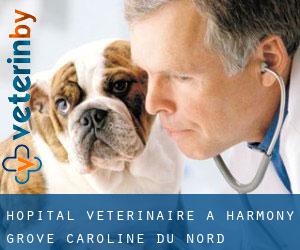 Hôpital vétérinaire à Harmony Grove (Caroline du Nord)