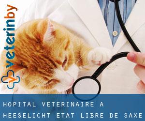Hôpital vétérinaire à Heeselicht (État libre de Saxe)