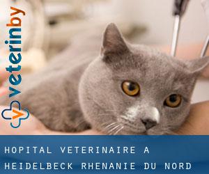 Hôpital vétérinaire à Heidelbeck (Rhénanie du Nord-Westphalie)