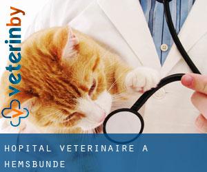Hôpital vétérinaire à Hemsbünde