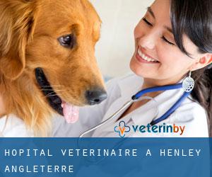 Hôpital vétérinaire à Henley (Angleterre)