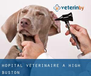 Hôpital vétérinaire à High Buston