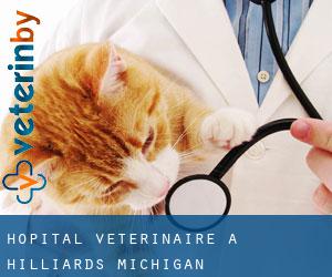 Hôpital vétérinaire à Hilliards (Michigan)