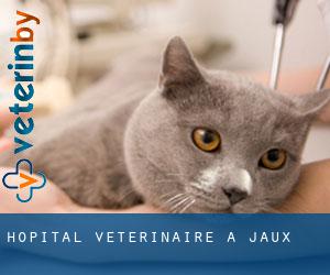 Hôpital vétérinaire à Jaux