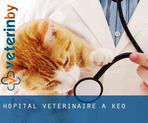 Hôpital vétérinaire à Keo