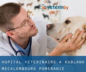 Hôpital vétérinaire à Kublank (Mecklembourg-Poméranie)
