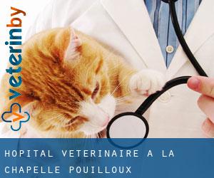 Hôpital vétérinaire à La Chapelle-Pouilloux