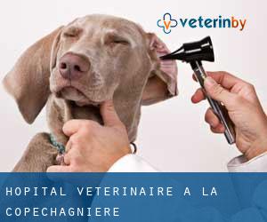 Hôpital vétérinaire à La Copechagnière