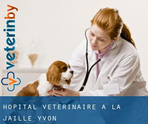 Hôpital vétérinaire à La Jaille-Yvon