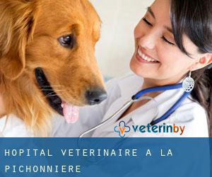 Hôpital vétérinaire à La Pichonnière