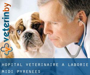 Hôpital vétérinaire à Laborie (Midi-Pyrénées)