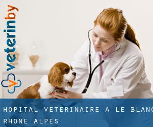 Hôpital vétérinaire à Le Blanc (Rhône-Alpes)