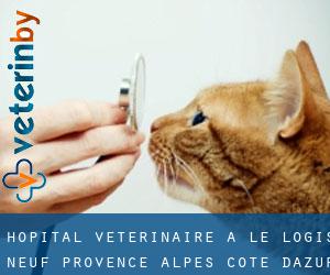 Hôpital vétérinaire à Le Logis Neuf (Provence-Alpes-Côte d'Azur)