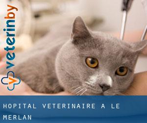 Hôpital vétérinaire à Le Merlan
