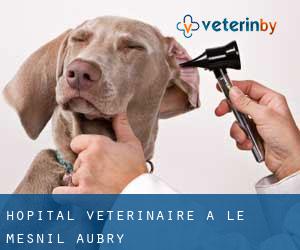 Hôpital vétérinaire à Le Mesnil-Aubry