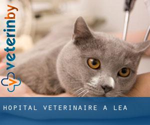 Hôpital vétérinaire à Lea