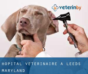 Hôpital vétérinaire à Leeds (Maryland)